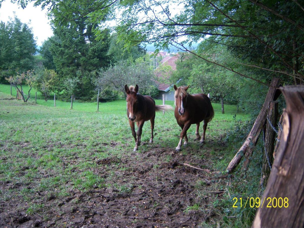 2 chambres d'hôtes privées louées séparément avec communs à partager Beaufort  Extérieur photo